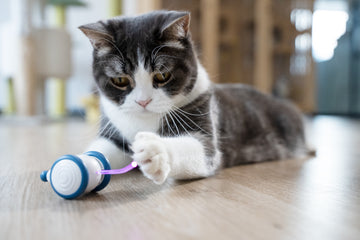 Cheerble Wicked Mouse Interactive Cat Toy (Orange)